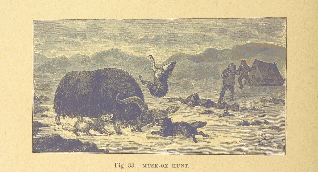 An illustration from Our Earth and its Story: a popular treatise on physical geography. Edited by R. Brown. With ... coloured plates and maps, etc, 1899, leaf 68