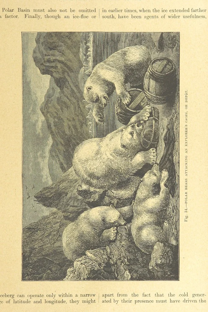 An illustration from Our Earth and its Story: a popular treatise on physical geography. Edited by R. Brown. With ... coloured plates and maps, etc, 1899, leaf 69