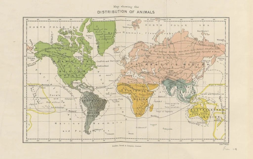 An illustration from Our Earth and its Story: a popular treatise on physical geography. Edited by R. Brown. With ... coloured plates and maps, etc, 1899, leaf 8