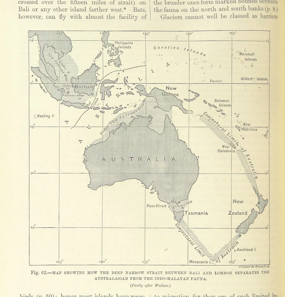 An illustration from Our Earth and its Story: a popular treatise on physical geography. Edited by R. Brown. With ... coloured plates and maps, etc, 1899, leaf 96