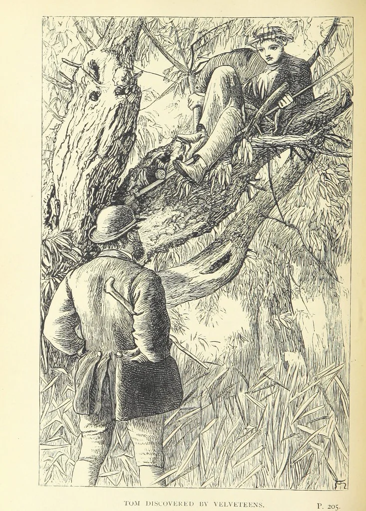 An illustration from Tom Brown's School Days. By an Old Boy [i.e. Thomas Hughes]. Third edition, 1869, leaf 250