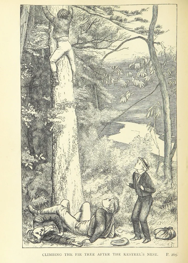 An illustration from Tom Brown's School Days. By an Old Boy [i.e. Thomas Hughes]. Third edition, 1869, leaf 322