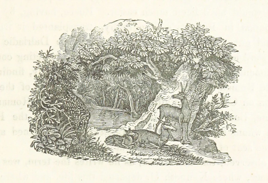 An illustration from Select Views of the Royal Palaces of Scotland ... With illustrative descriptions ... by the late Rev. John Jamieson ... Second edition, 1840, leaf 181