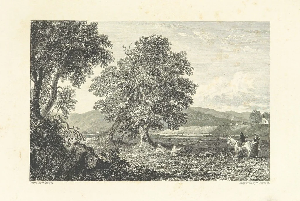An illustration from Select Views of the Royal Palaces of Scotland ... With illustrative descriptions ... by the late Rev. John Jamieson ... Second edition, 1840, leaf 183