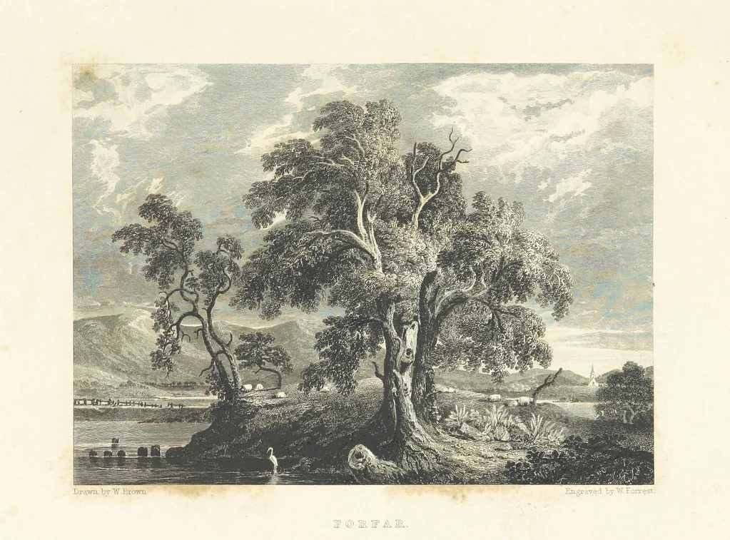 An illustration from Select Views of the Royal Palaces of Scotland ... With illustrative descriptions ... by the late Rev. John Jamieson ... Second edition, 1840, leaf 229