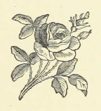 An illustration from Songs of Many Seasons ... Illustrated by G. Du Maurier, Walter Crane, etc, 1876, leaf 17