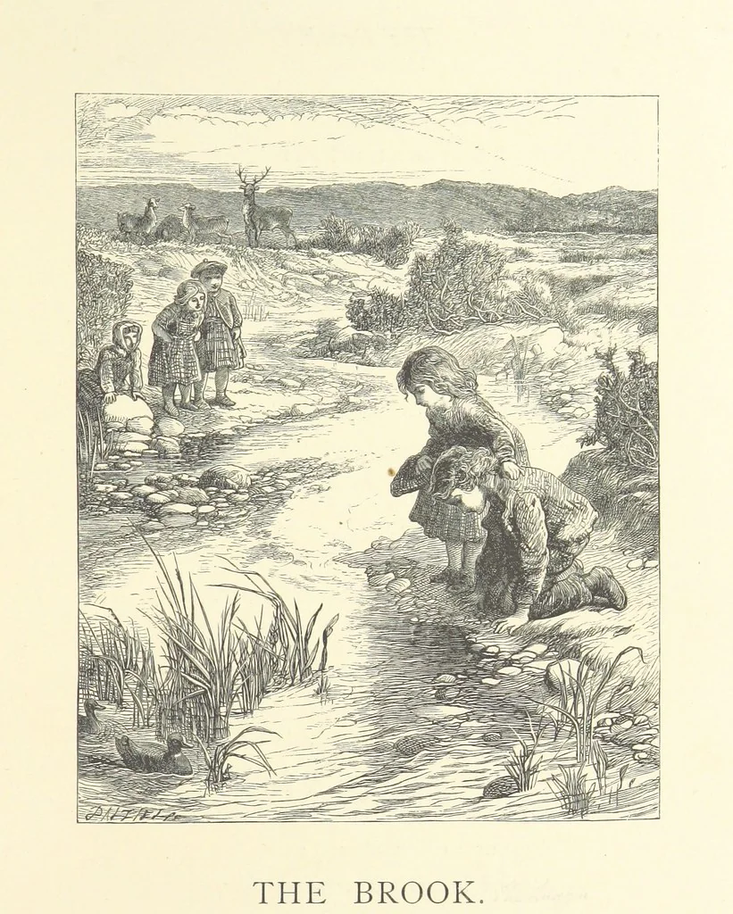 An illustration from North Coast and other poems ... With illustrations by J. Wolf, T. Dalziel [and others] ... Engraved by the Brothers Dalziel, 1868, leaf 125