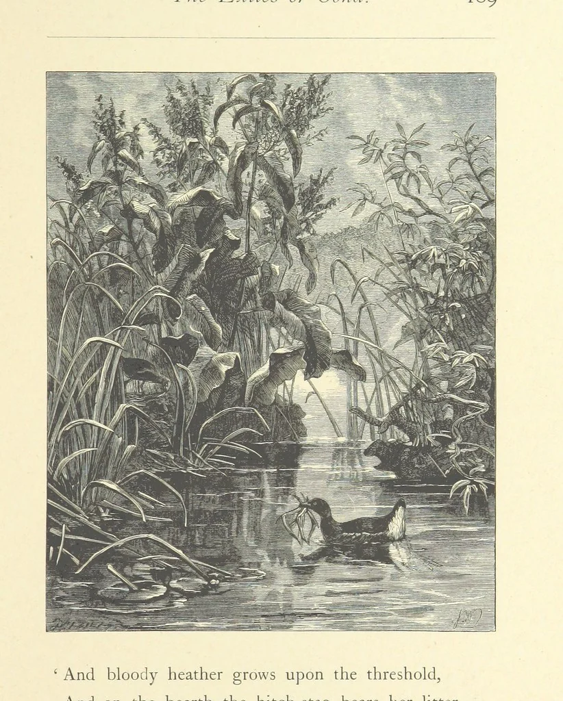 An illustration from North Coast and other poems ... With illustrations by J. Wolf, T. Dalziel [and others] ... Engraved by the Brothers Dalziel, 1868, leaf 211
