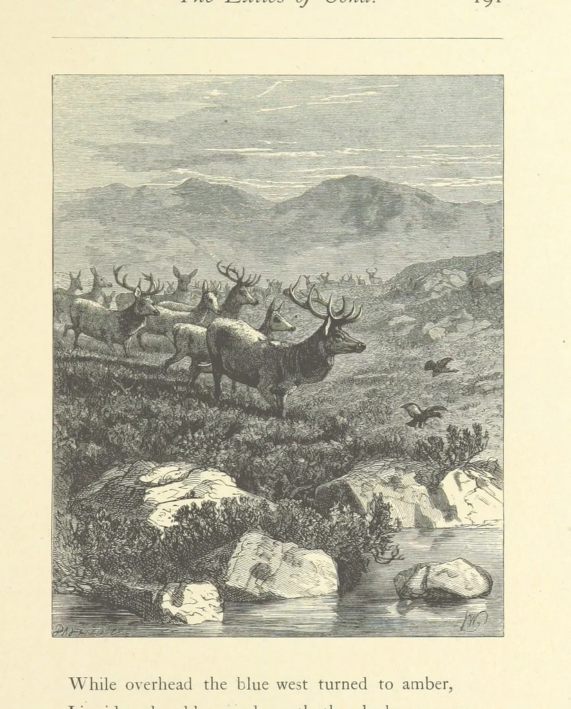 An illustration from North Coast and other poems ... With illustrations by J. Wolf, T. Dalziel [and others] ... Engraved by the Brothers Dalziel, 1868, leaf 213