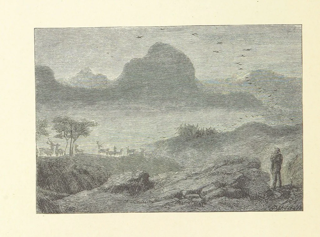 An illustration from North Coast and other poems ... With illustrations by J. Wolf, T. Dalziel [and others] ... Engraved by the Brothers Dalziel, 1868, leaf 220