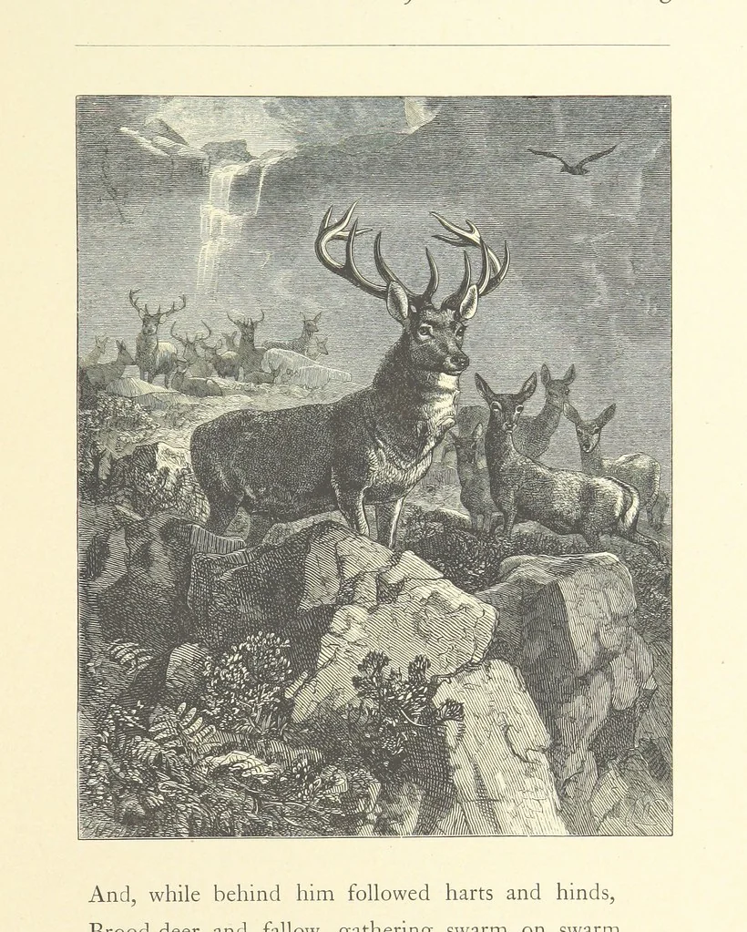 An illustration from North Coast and other poems ... With illustrations by J. Wolf, T. Dalziel [and others] ... Engraved by the Brothers Dalziel, 1868, leaf 235