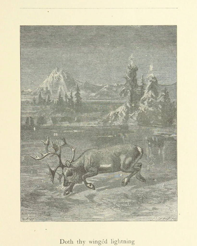 An illustration from North Coast and other poems ... With illustrations by J. Wolf, T. Dalziel [and others] ... Engraved by the Brothers Dalziel, 1868, leaf 261
