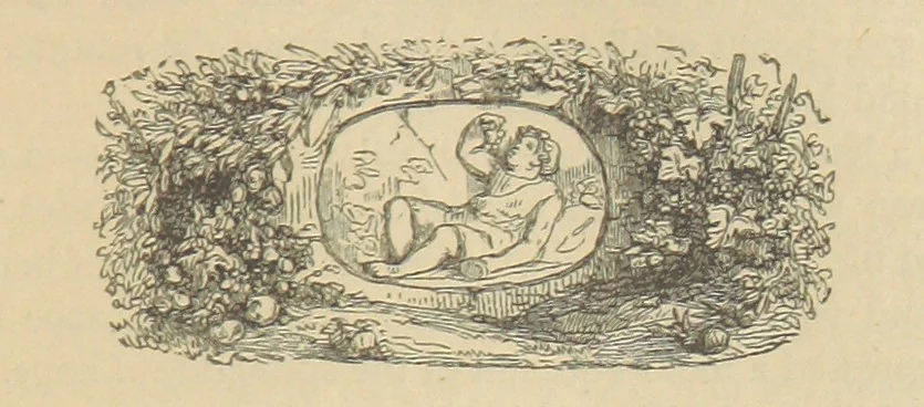 An illustration from Gerard Mastyn, the son of a genius, etc, 1877, leaf 103