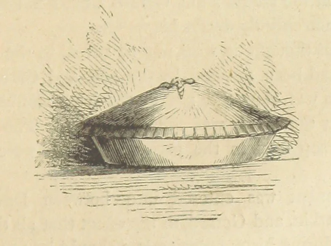 An illustration from Gerard Mastyn, the son of a genius, etc, 1877, leaf 145