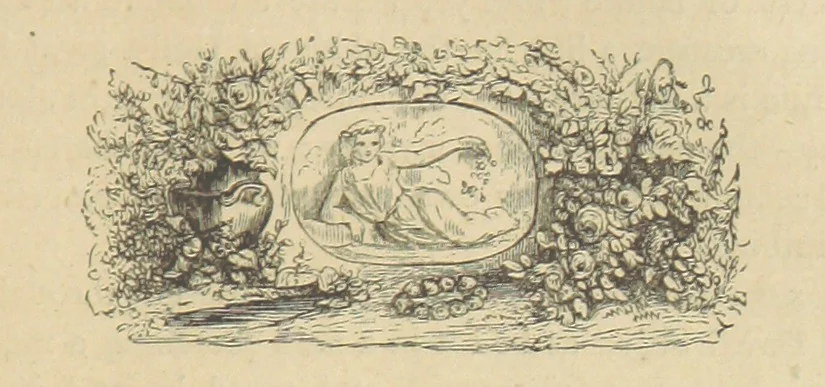 An illustration from Gerard Mastyn, the son of a genius, etc, 1877, leaf 177