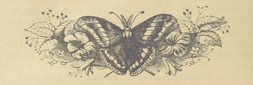 An illustration from Gerard Mastyn, the son of a genius, etc, 1877, leaf 192