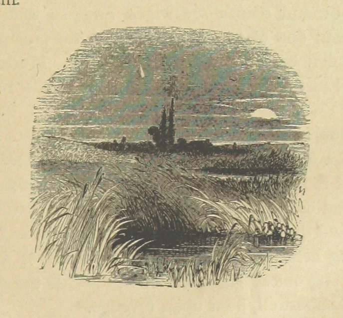 An illustration from Gerard Mastyn, the son of a genius, etc, 1877, leaf 219