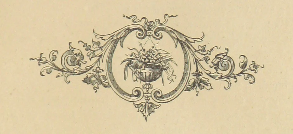 An illustration from Gerard Mastyn, the son of a genius, etc, 1877, leaf 29