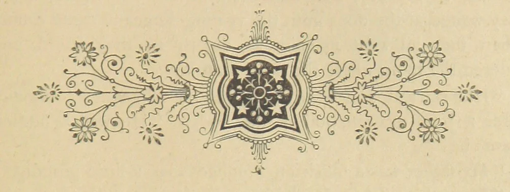 An illustration from Gerard Mastyn, the son of a genius, etc, 1877, leaf 71