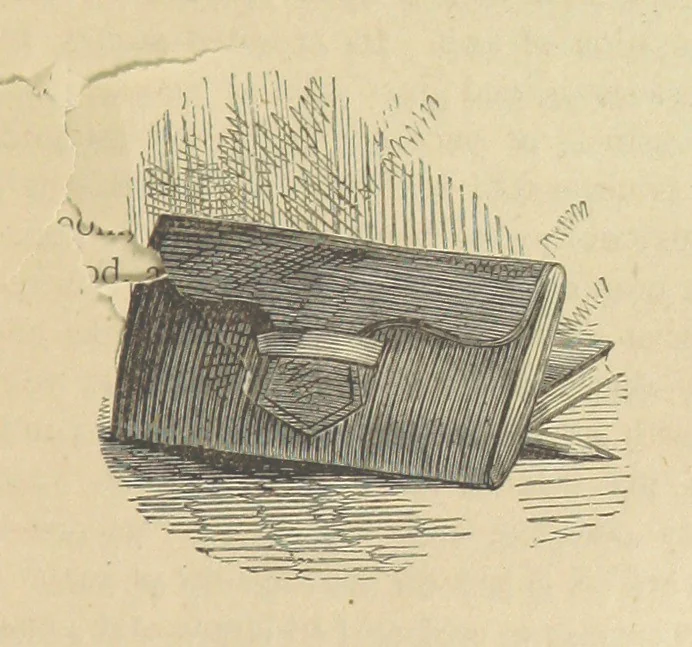 An illustration from Gerard Mastyn, the son of a genius, etc, 1877, leaf 89