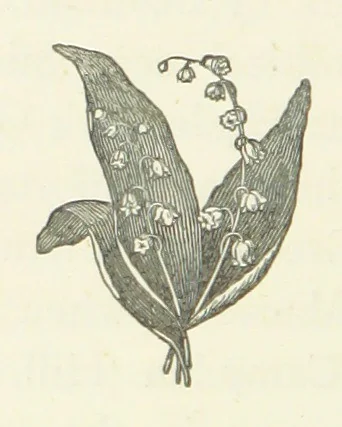 An illustration from Historical Notices of Chelsea, Kensington, Fulham, and Hammersmith. With some particulars of old families, etc, 1871, leaf 76