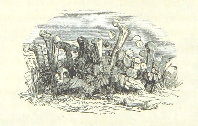 An illustration from The Pictorial History of France and of the French People ... Enriched with ... designs by Jules David, 1843, leaf 26