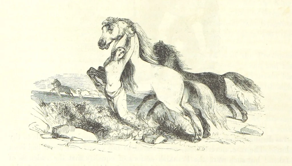 An illustration from The Pictorial History of France and of the French People ... Enriched with ... designs by Jules David, 1843, leaf 70