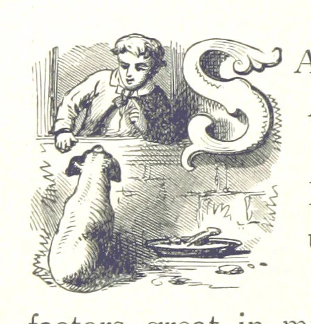 An illustration from A Zigzag Journey in the Sunny South; or, Wonder tales of early American history ... Fully illustrated, 1887, leaf 186