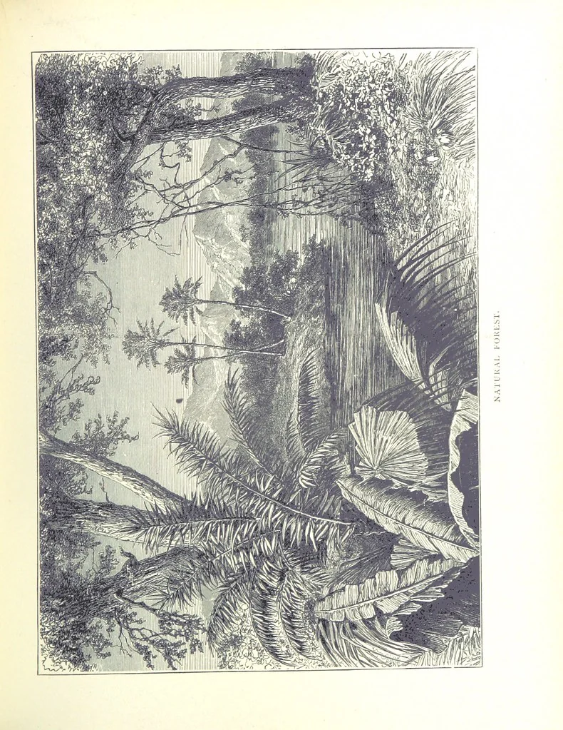 An illustration from A Zigzag Journey in the Sunny South; or, Wonder tales of early American history ... Fully illustrated, 1887, leaf 193