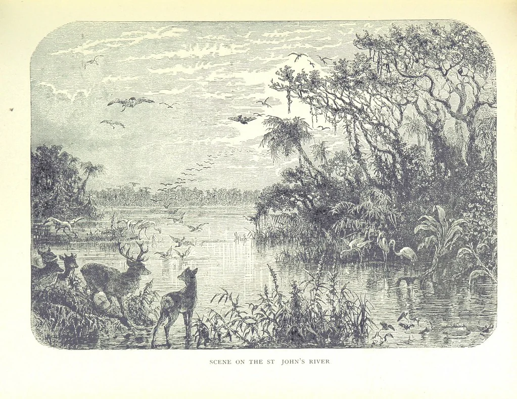 An illustration from A Zigzag Journey in the Sunny South; or, Wonder tales of early American history ... Fully illustrated, 1887, leaf 209