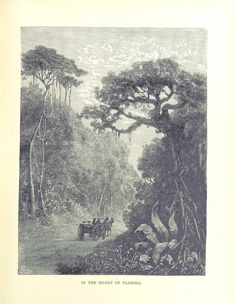 An illustration from A Zigzag Journey in the Sunny South; or, Wonder tales of early American history ... Fully illustrated, 1887, leaf 23