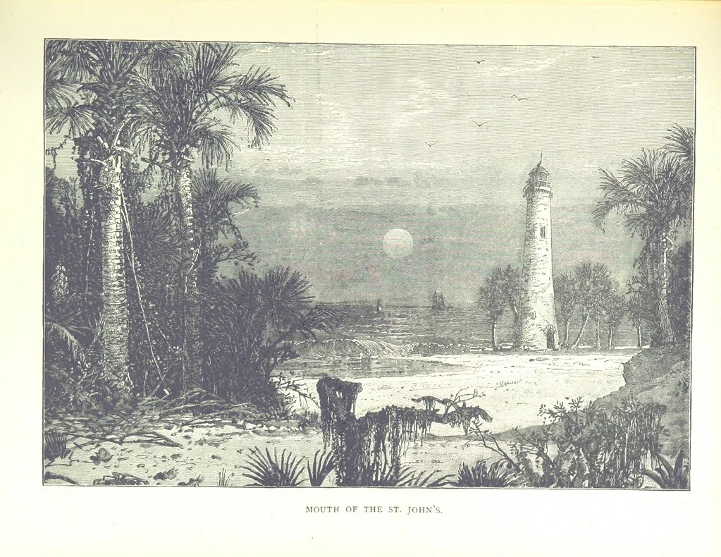An illustration from A Zigzag Journey in the Sunny South; or, Wonder tales of early American history ... Fully illustrated, 1887, leaf 241
