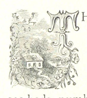 An illustration from A Zigzag Journey in the Sunny South; or, Wonder tales of early American history ... Fully illustrated, 1887, leaf 284