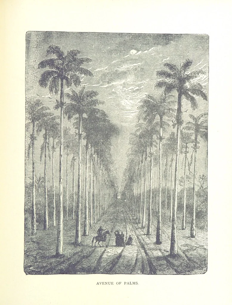An illustration from A Zigzag Journey in the Sunny South; or, Wonder tales of early American history ... Fully illustrated, 1887, leaf 285