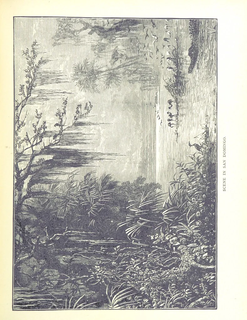 An illustration from A Zigzag Journey in the Sunny South; or, Wonder tales of early American history ... Fully illustrated, 1887, leaf 297