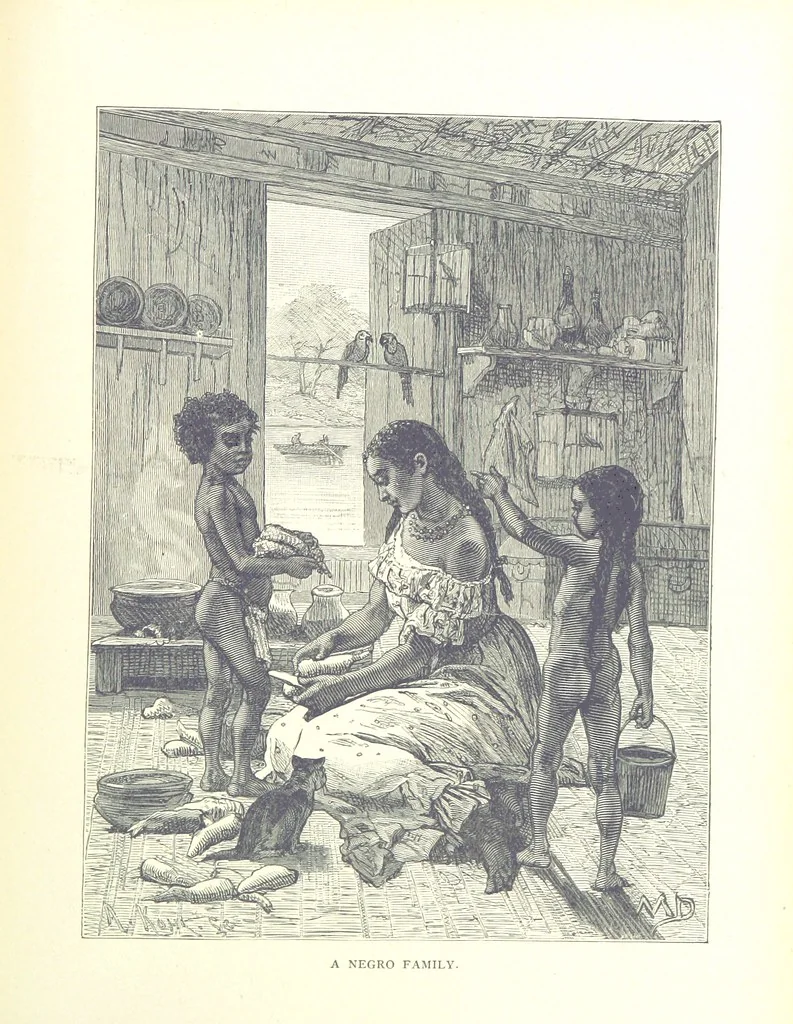 An illustration from A Zigzag Journey in the Sunny South; or, Wonder tales of early American history ... Fully illustrated, 1887, leaf 315