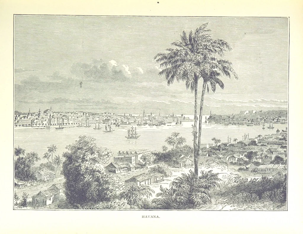 An illustration from A Zigzag Journey in the Sunny South; or, Wonder tales of early American history ... Fully illustrated, 1887, leaf 63