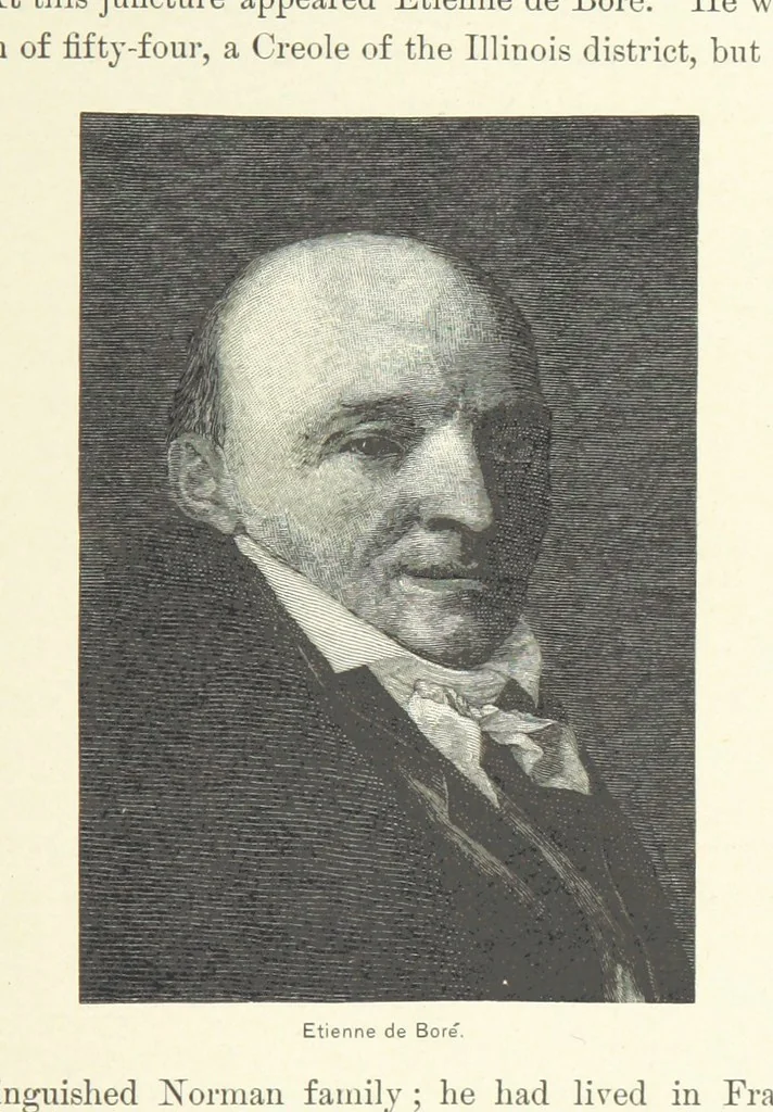 An illustration from The Creoles of Louisiana. [With illustrations, 1885, leaf 127