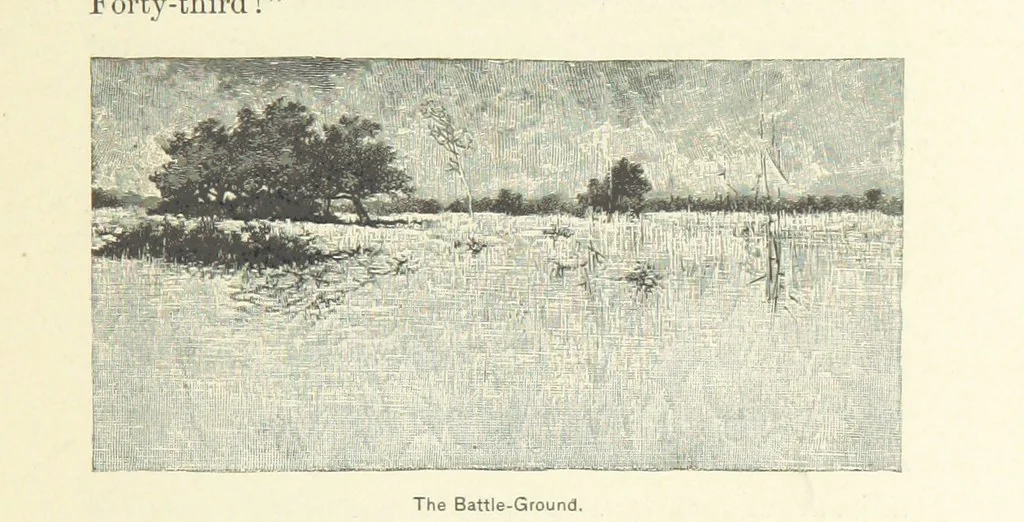 An illustration from The Creoles of Louisiana. [With illustrations, 1885, leaf 217