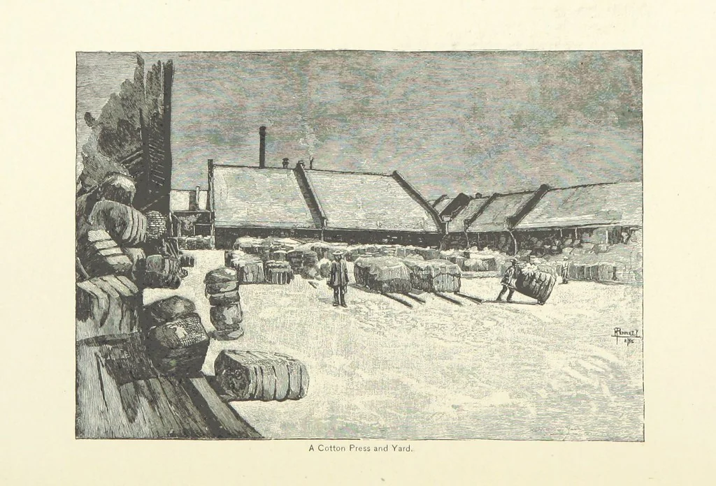 An illustration from The Creoles of Louisiana. [With illustrations, 1885, leaf 245