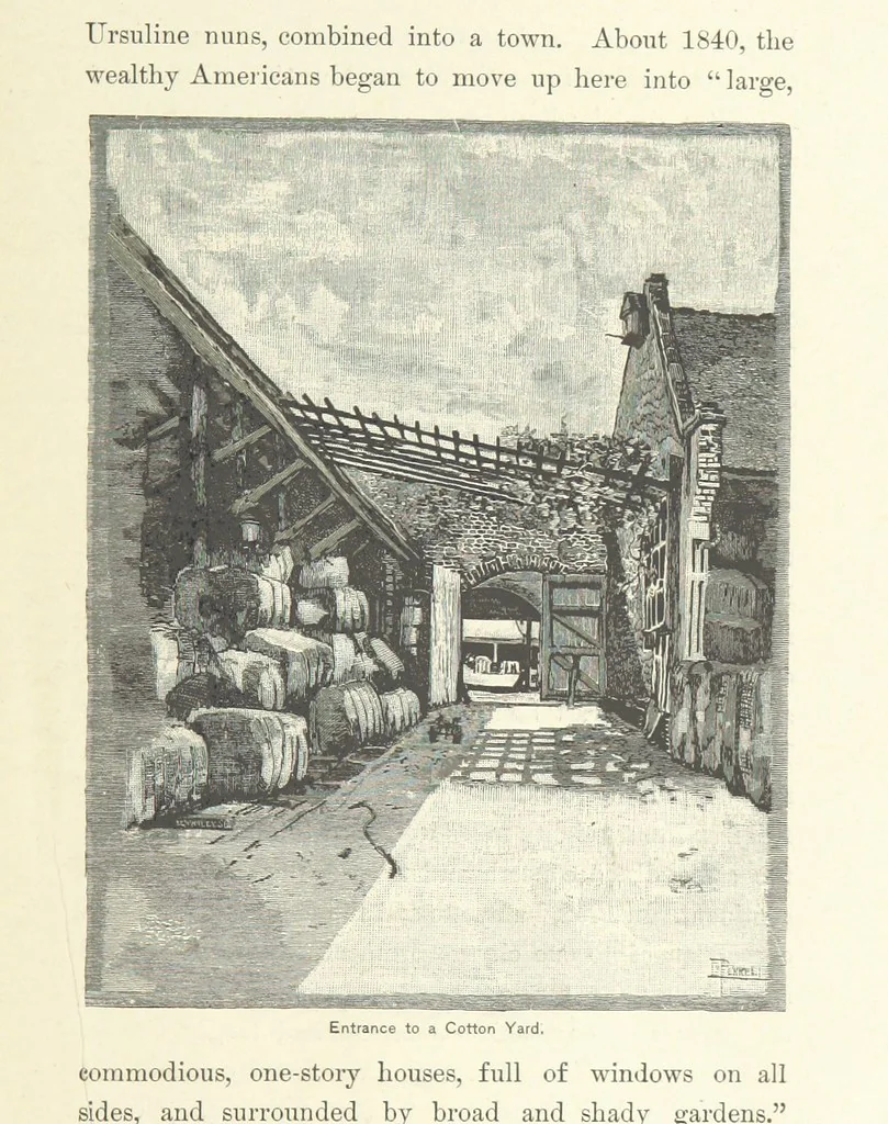 An illustration from The Creoles of Louisiana. [With illustrations, 1885, leaf 249