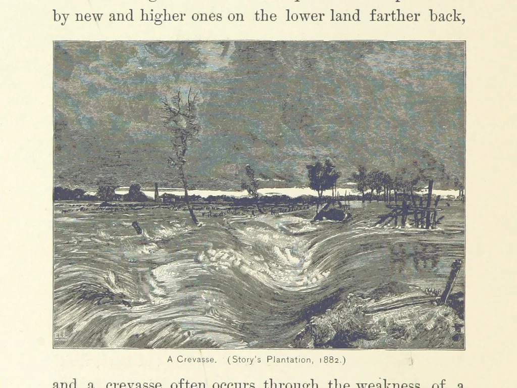 An illustration from The Creoles of Louisiana. [With illustrations, 1885, leaf 286