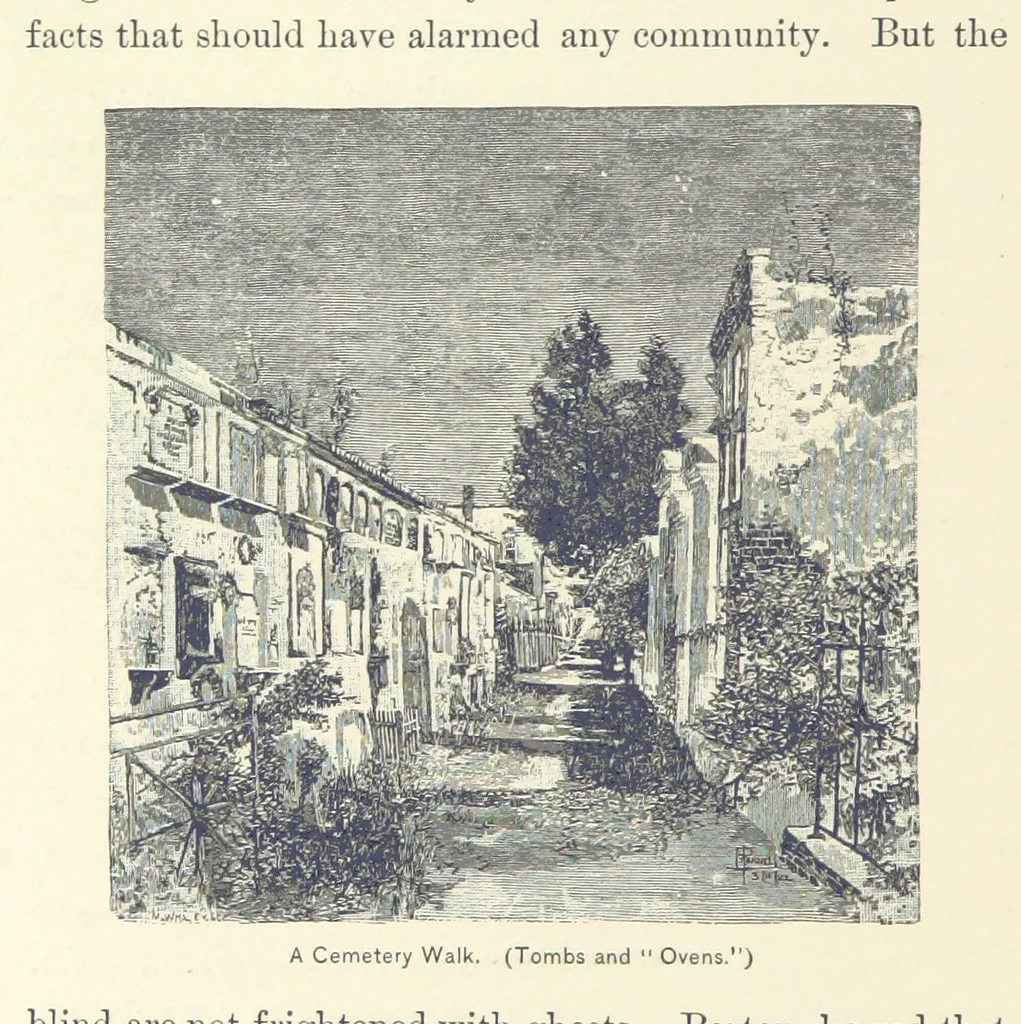 An illustration from The Creoles of Louisiana. [With illustrations, 1885, leaf 310