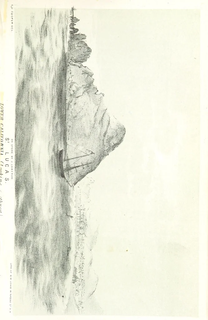 An illustration from California illustrated: including a description of the Panama and Nicaragua routes. By a returned Californian. [With plates, 1852, leaf 195