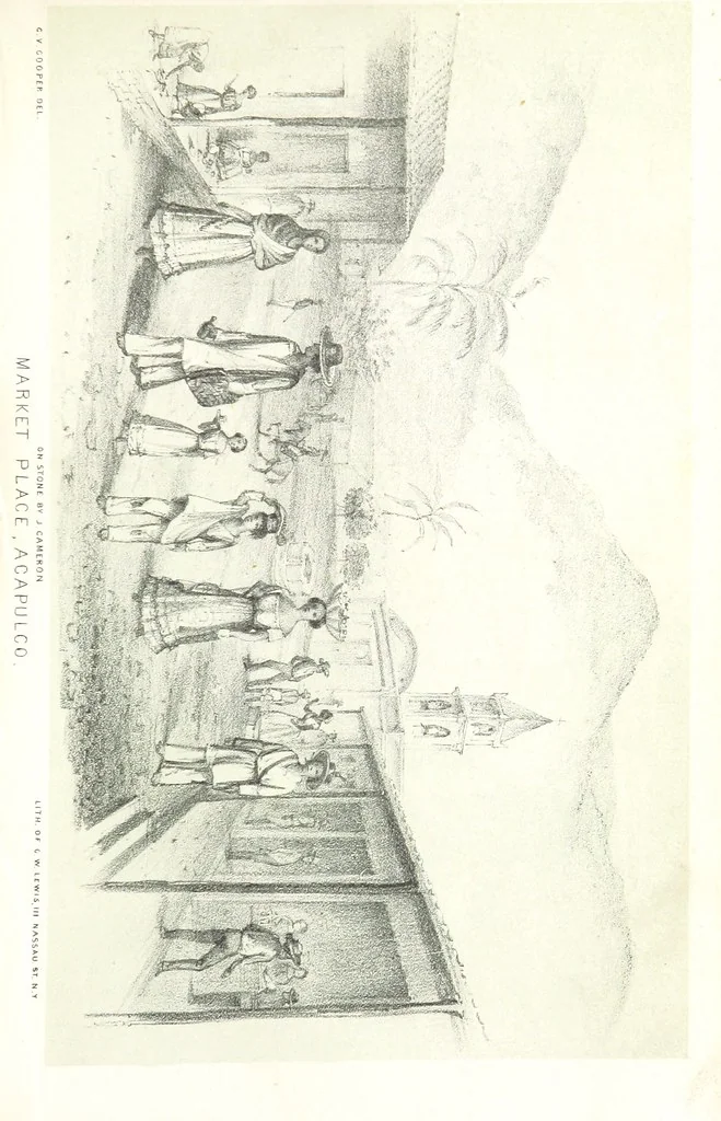 An illustration from California illustrated: including a description of the Panama and Nicaragua routes. By a returned Californian. [With plates, 1852, leaf 219