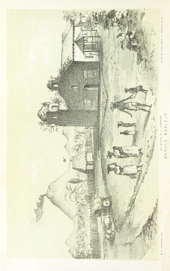 An illustration from California illustrated: including a description of the Panama and Nicaragua routes. By a returned Californian. [With plates, 1852, leaf 224
