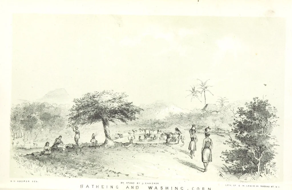 An illustration from California illustrated: including a description of the Panama and Nicaragua routes. By a returned Californian. [With plates, 1852, leaf 231