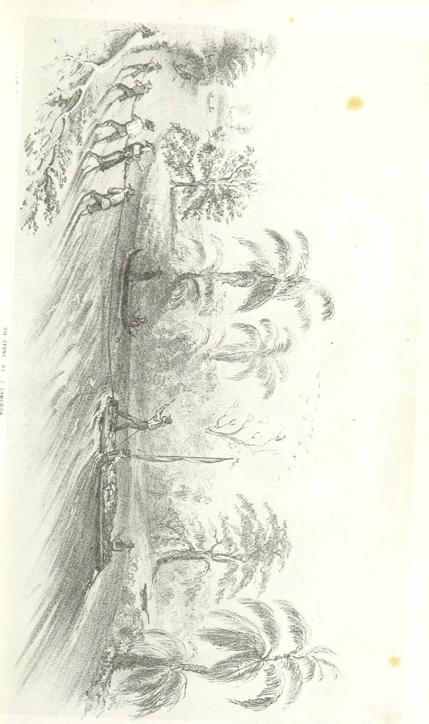 An illustration from California illustrated: including a description of the Panama and Nicaragua routes. By a returned Californian. [With plates, 1852, leaf 43