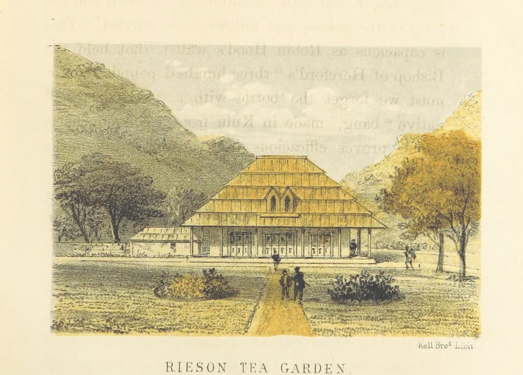 An illustration from Kulu: its beauties, antiquities and silver mines, including a trip over the Snowy Range and glaciers. By the author of “Notes on the Mineral Wealth of India” [i.e. J. Calvert], 1873, leaf 69