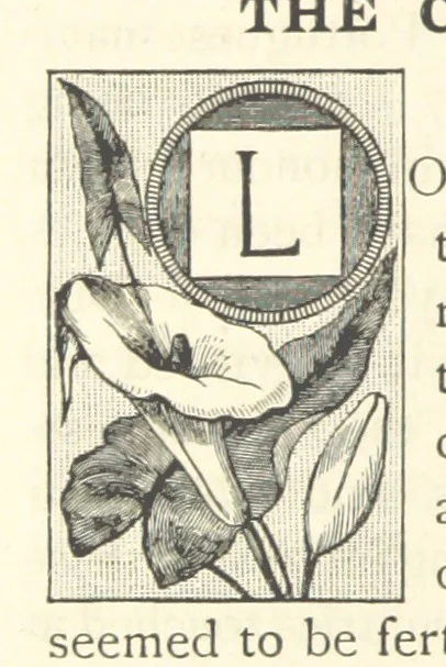 An illustration from Rambles in South Africa, etc, 1891, leaf 106